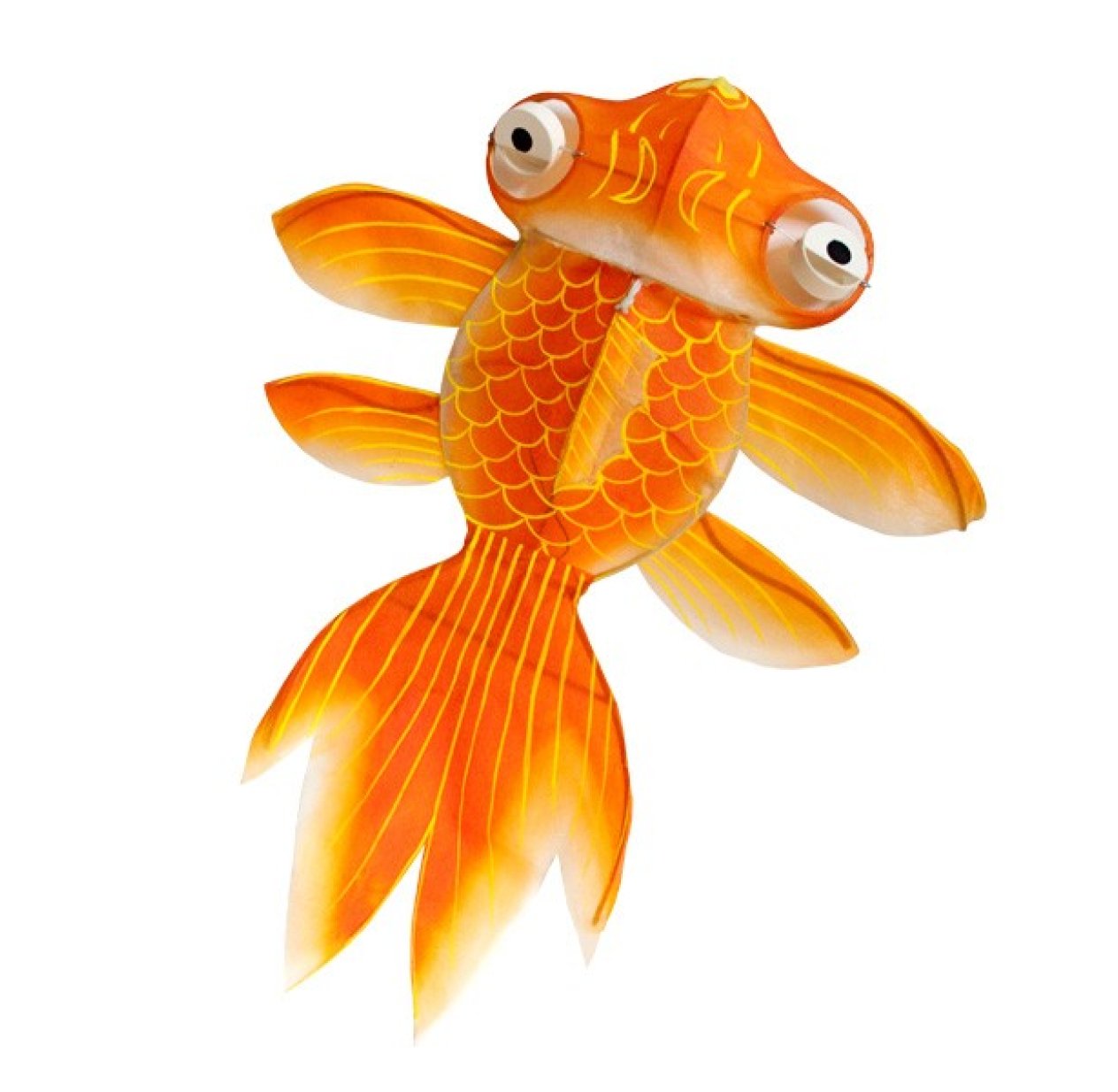 Poisson Miya Orange